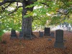 800px-Green-Wood_Cemetery_Graves_under_a_tree